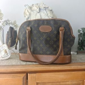 Louis Vuitton sac chien Dog Carrier